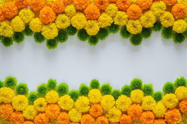 Multi-Colored Marigold